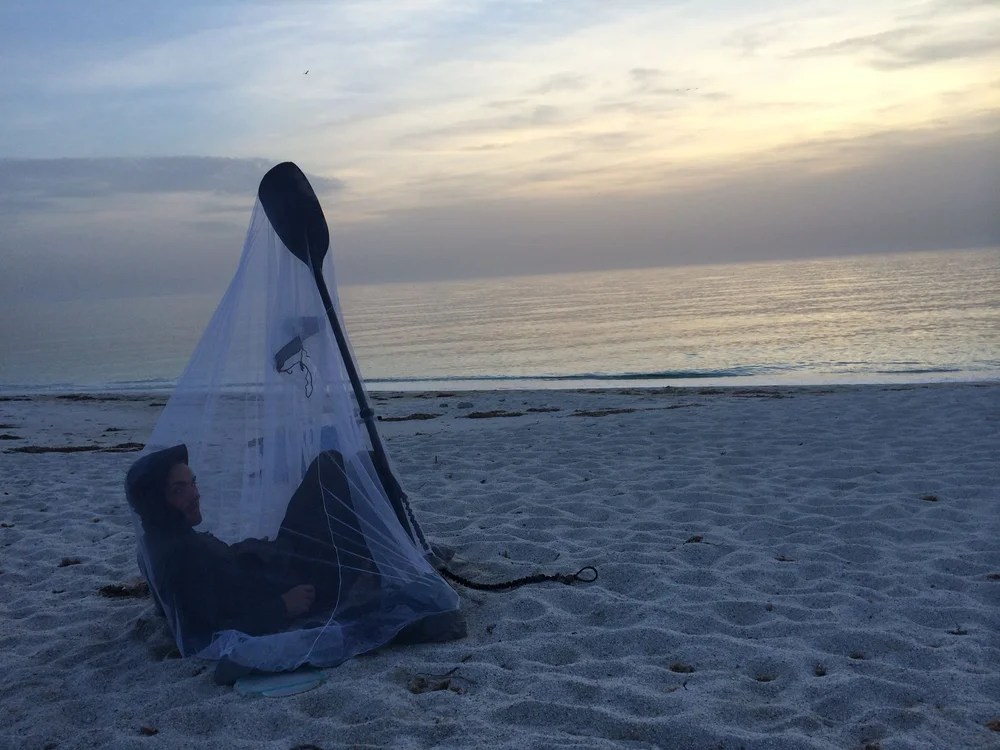 DSCF4250 Ingrid (1).jpg