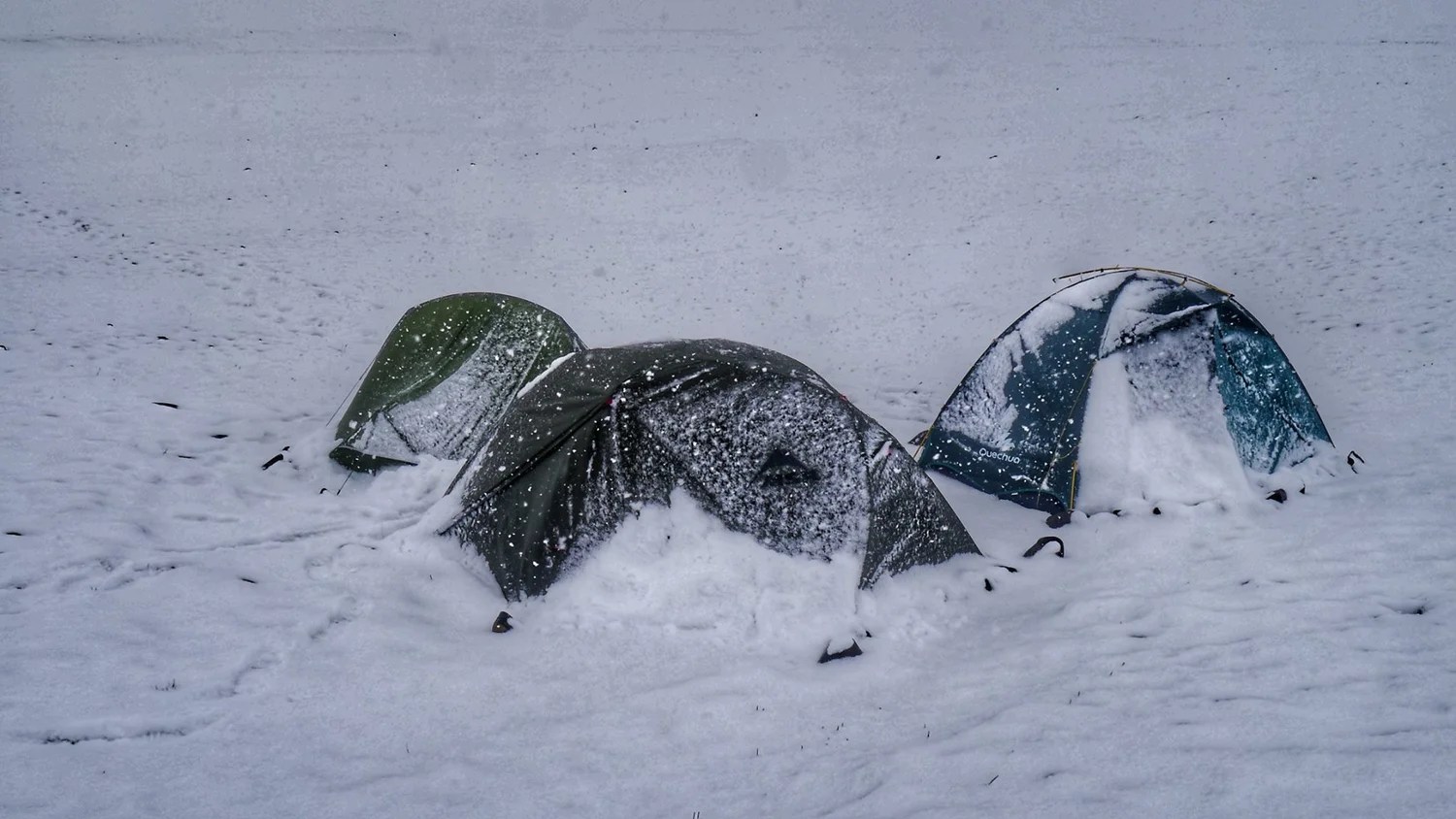 Photo 12-08-2017, 20 17 35.jpg