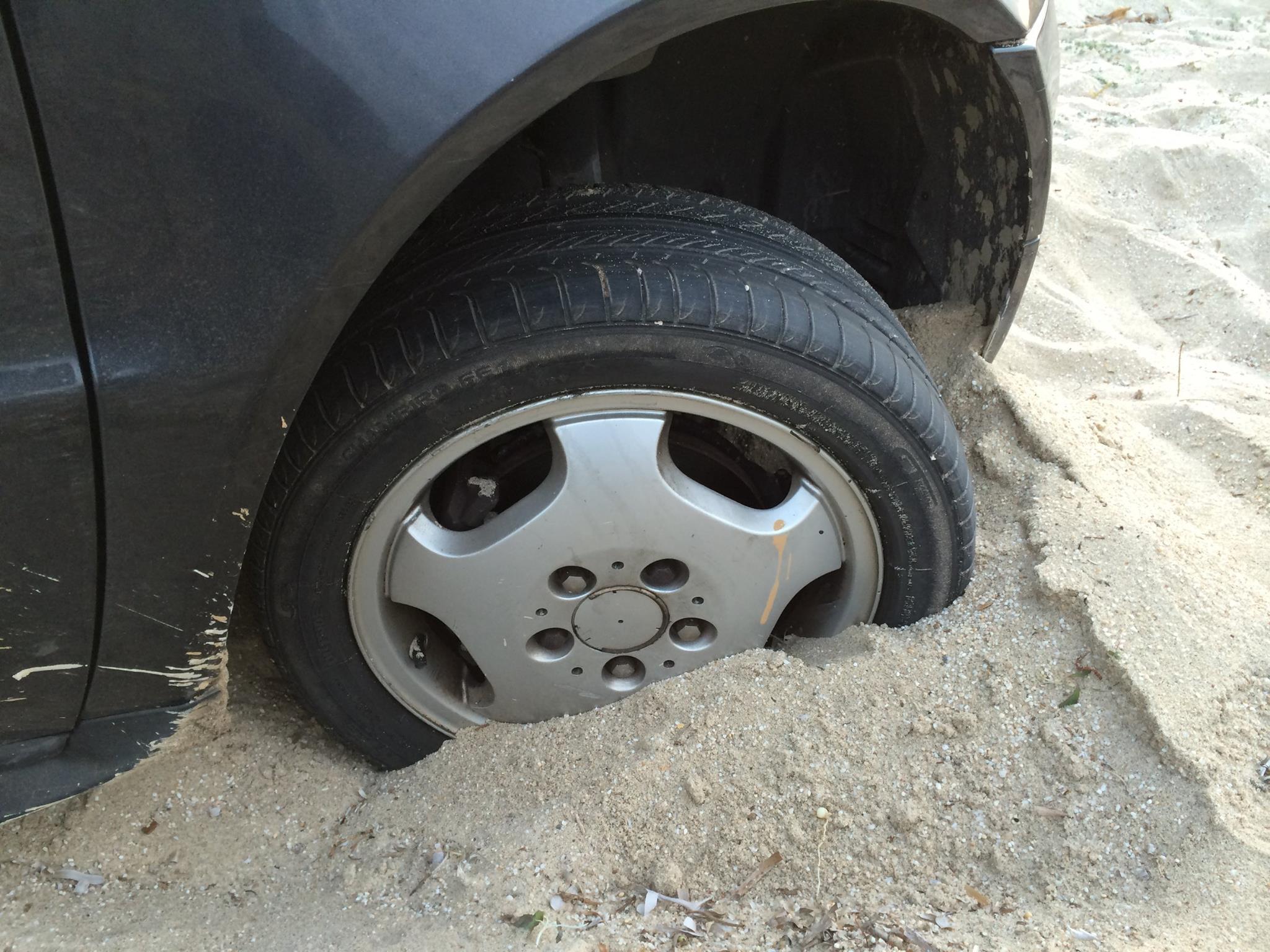 DSCF4190 Ingrid (2).jpg